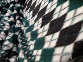 tn-20230726_151306