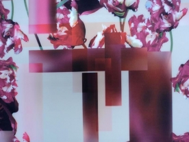 n 046