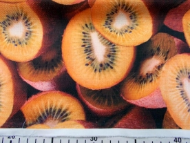 pp 024