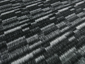 pp 019